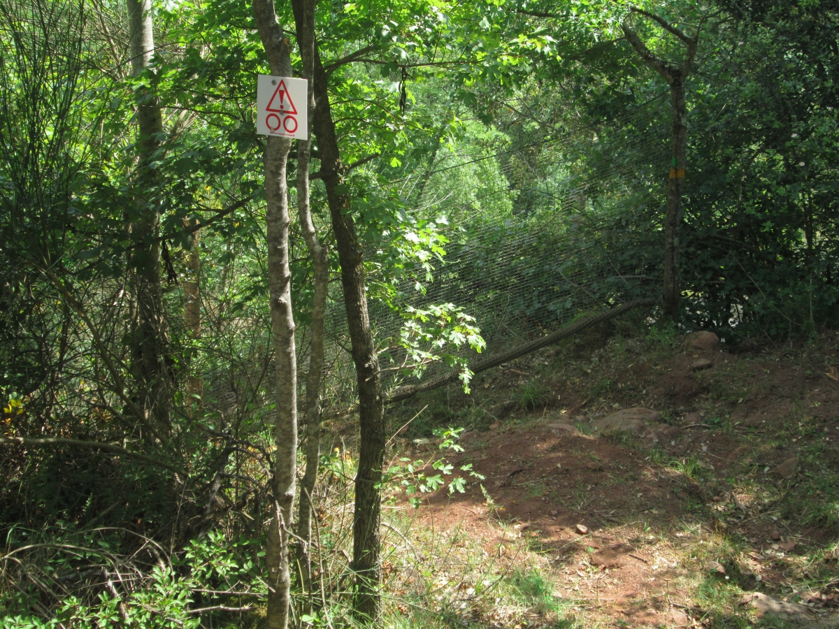 Cami de la retirada bis     